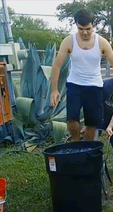 achievementhvnter:  Achievement Hunter accepts the Ice Bucket Challenge after being