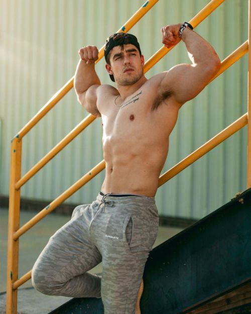 bears-muscle-boxing:Now you show me what you got…