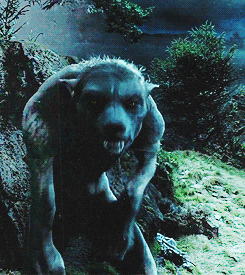 priorisincantatem:  An A-Z of Fantastic Beasts - Werewolf; M.O.M. Classification: XXXXX*  The werewolf is found worldwide, though it is believed to have originated in northern Europe. Humans turn into werewolves only when bitten. There is no known cure,