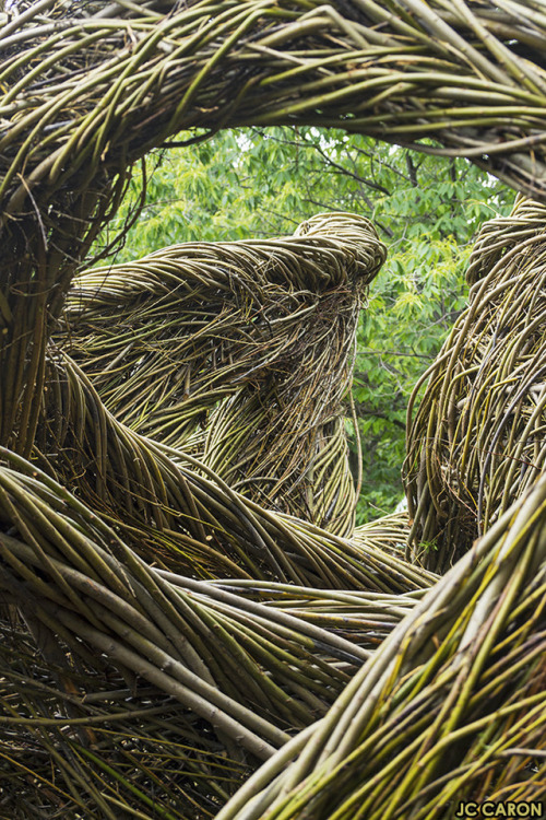 montrealchimie:
“  Monumental Dougherty
Patrick Dougherty, artiste de land art américain, a créé des œuvres monumentales dans l’Arboretum du Jardin botanique de Montréal. Ces sculptures tissées de tiges de saules entraînent le visiteur dans une...