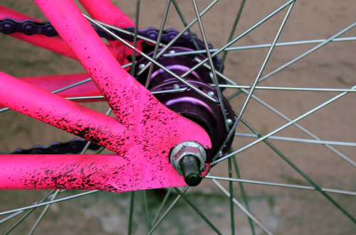 tontapanchitonta:  bicicleta nueva, flickr nuevo (por francisaCelestica)