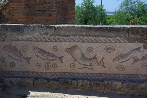 via-appia:Fish mosaics from the Roman ruins in Milreu, Portugal, 4th century