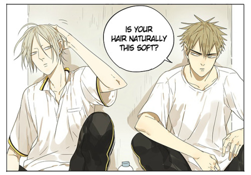 XXX Old Xian 12/11/2014 update of 19 Days, translated photo