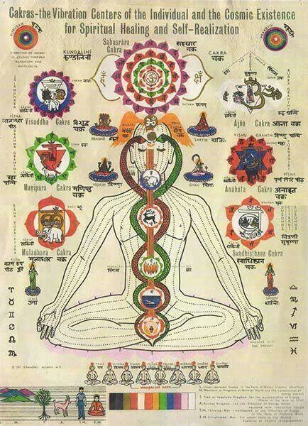 cristinespaganpath:  Chakras )O(