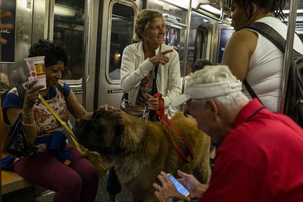 NYC Subway, 2014 by Chris Steele Perkins