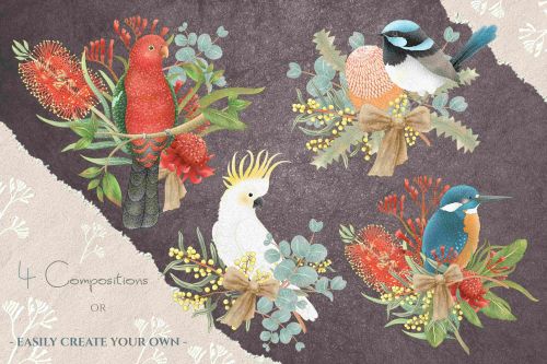 Australian Birds & Flowers by JenDigitalArt★ download • FREE GRAPHICS OF THE WEEK