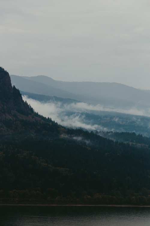 Fog in the PNW // Portland, OR