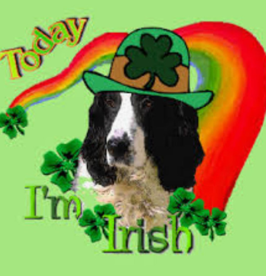 vonholedigger:  💚🍺🍀   Everyday but that’s ok🍀☘️