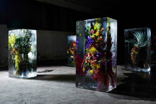 Japanese artist Azuma Makoto 東信“ICED FLOWERS”とは、花々を氷で包み込み、その中で刻まれていく命の変化を鑑賞する作品です。氷の中に存在することによって引き立て