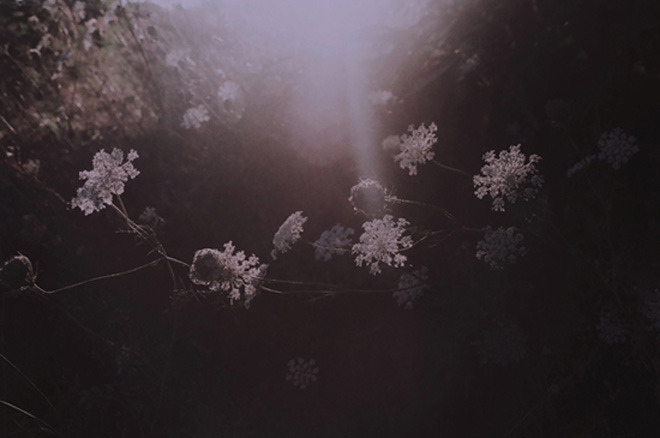 glitzandshadows:  Suji Park 
