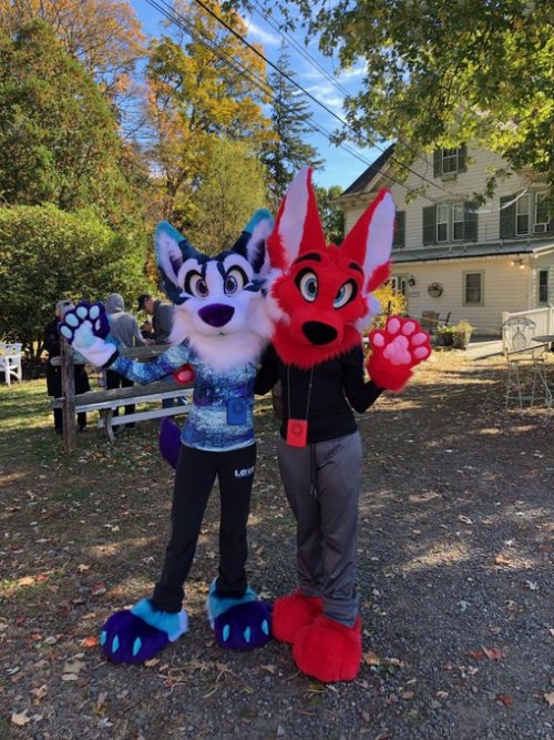 RT @Galaxy_730: @Rubyfox730 and I suited at a nearby farm today! It was really pretty out and super 