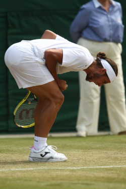 malesportsbooty:  Feliciano Lopez 