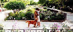 wearyvoices:  I wanted it to be you. I wanted it to be you so badly.  - You’ve