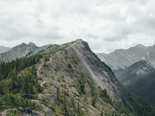 Wasootch Ridge - Kananaskis Country, Alberta, Canada