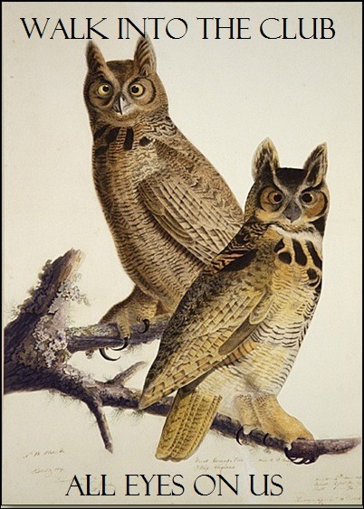 “Great Horned Owl” by James J. Audubon