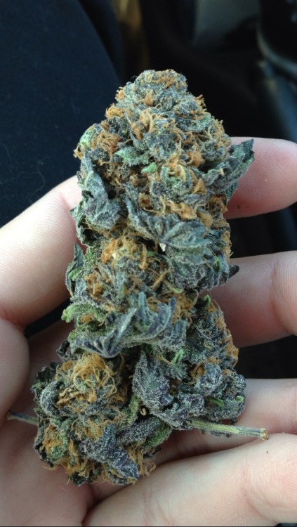 purplengabbana:  GDP