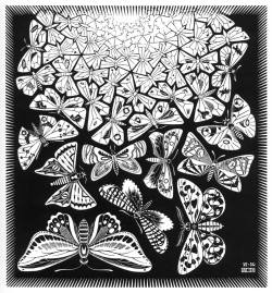 mnemonic79:  M. C. Escher - Farfalle (Giugno