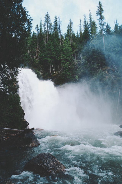 fullt1medreamer:  &lsquo;wake me up when it&rsquo;s all over..&rsquo;