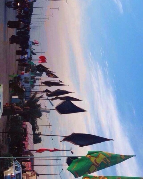 Arbaeen Procession of Southern Iraq [2015/1437]