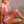 buckeyefitvixen3-deactivated202:myseducedreams:Gorgeous adult photos