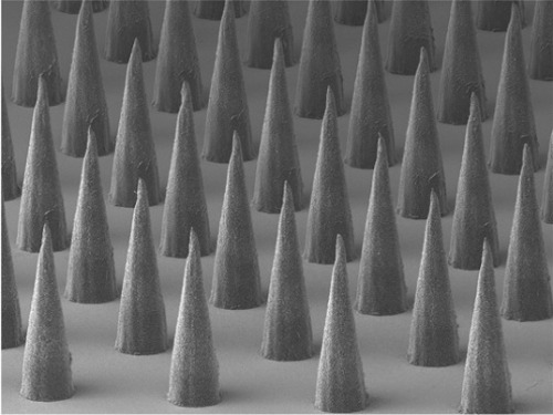 Microrrhaphiscurrentsinbiology:Microneedle Peter DeMuthThis scanning electron micrograph shows 