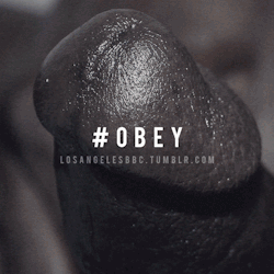 dirty4blk:  uncutfunman:  kinkyesposo:  Yes absolutely    Love this  message me    Yess Daddy ♠️