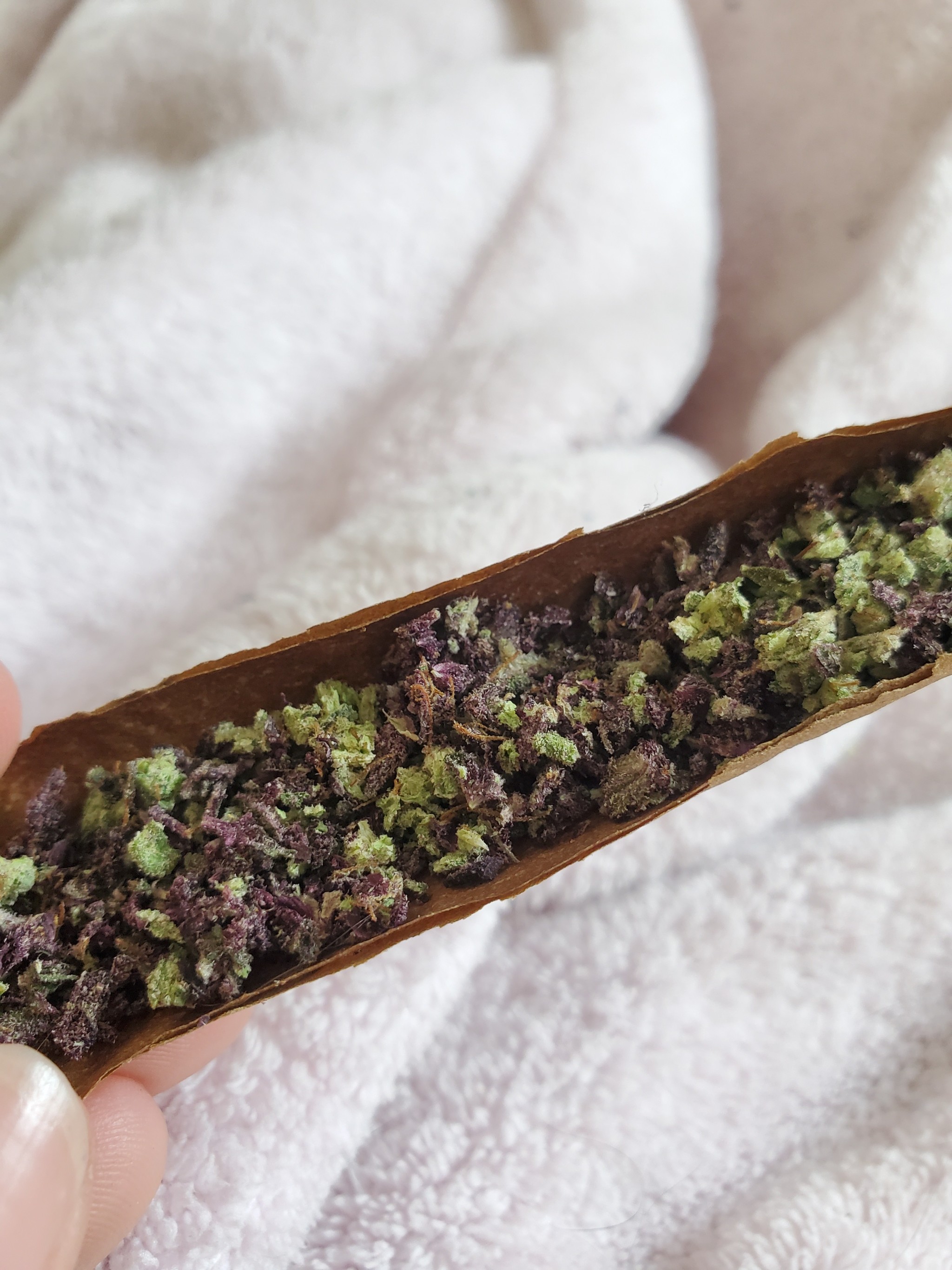 bre-is-stoned:I always love purple weed 