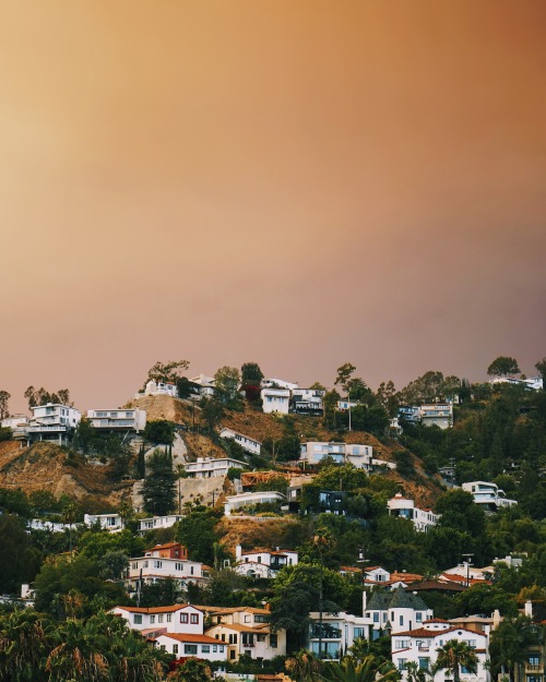 Smoke from the wildfires in Santa Clarita, coming over the hill into West Hollywood.© Matt Allard