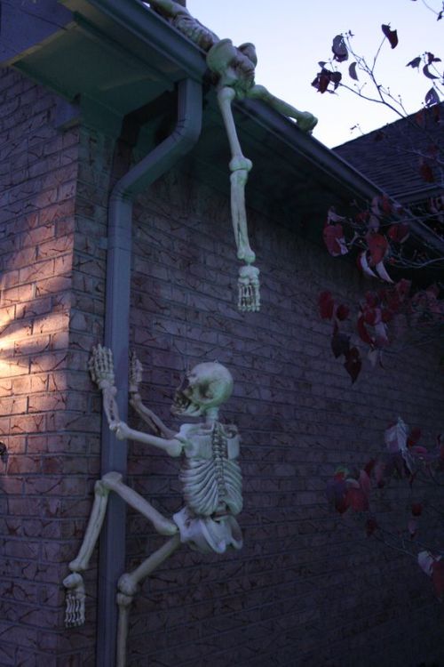 itskarmalone: rururaptor:  thorins-treefort:  sixpenceee:  Climbing skeletons make one creepy halloween decoration!  The skeleton war   The skeleton army looking for hostages   It’s a draft 