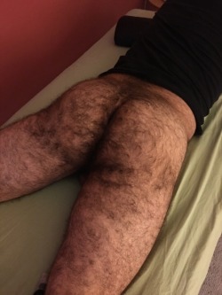 manlybush:  I’d love to climb on top of this hairy butt 