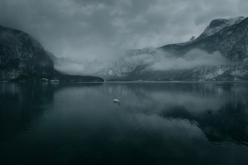 definitelydope:By Akos Major