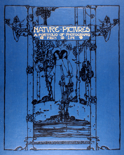 Nature Pictures - A portfolio of pictures from life 1908/1912Cover design by Jessie M. King 