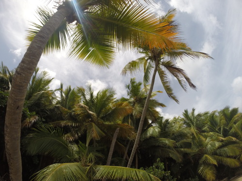 My kind of skyline. Neltjberg, St. Thomas, USVI. c. 2014