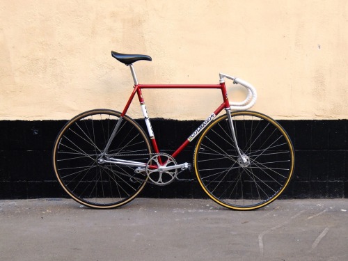 Colnago