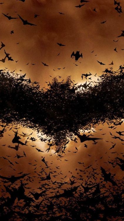 Batman Begins, bats, symbol, movie, logo, 720x1280 wallpaper @wallpapersmug : ift.tt/2FI4itB