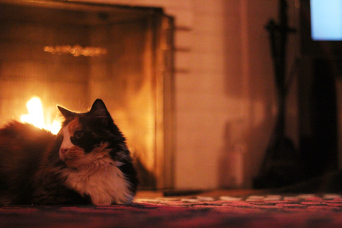 Fireside. 