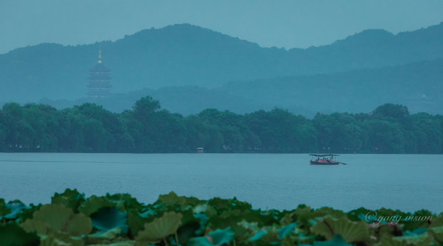 West Lake In Blue Hour By 影像视觉杨 