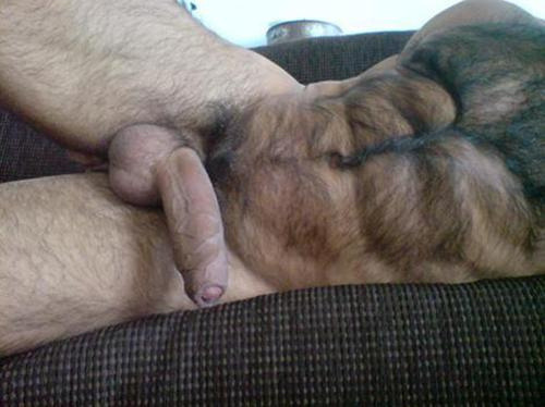 http://handyhairy.tumblr.com/post/83006636947