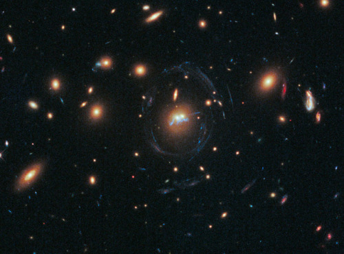 A Blue Bridge of Stars between Cluster Galaxies designated SDSS J1531+3414 js