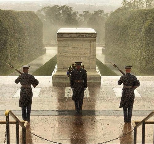 armedplatypus:  mallninjacode:  one-asterisk:  the-pink-mist:  I would like to congratulate who ever started the rumor about the Tomb of the Unknowns possibly going unguarded during the government shutdown. I finally heard the rumor from another student