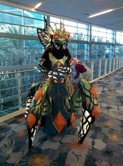 geekyred:  Dear Tumblr, please share this… My friend, Cosplay Py, won first place at the costume contest at BlizzCon. She was getting on the ramp, heading to the stage, and she twisted her ankle, and couldn’t walk. She was hysterical. Her husband