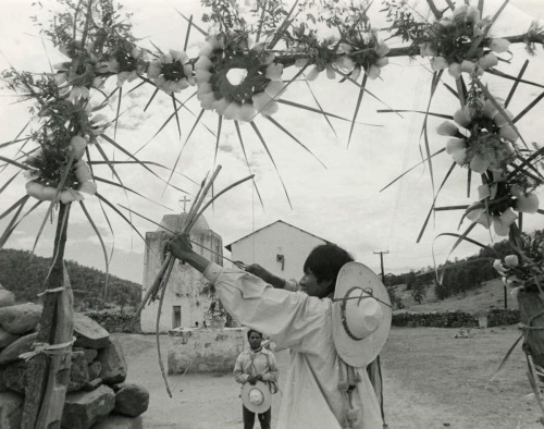 joeinct: Flower Hunter, Photo by Hector Garcia, 1970s