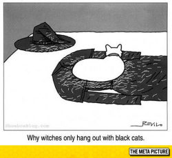 srsfunny:  Witches And Black Catshttp://srsfunny.tumblr.com/