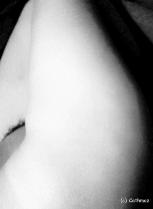 Quello che cerchi