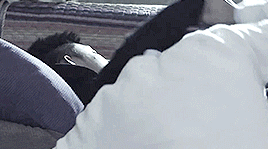 drama-jar:    ↳ Addicted x EP15 “You’re mine.”   白洛因 许巍洲 黄景瑜顾海