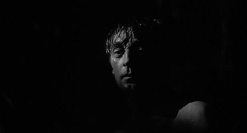 artofcinema: cape fear (1962) dir. j. lee thompson it’s a great comfort for a girl to know she could