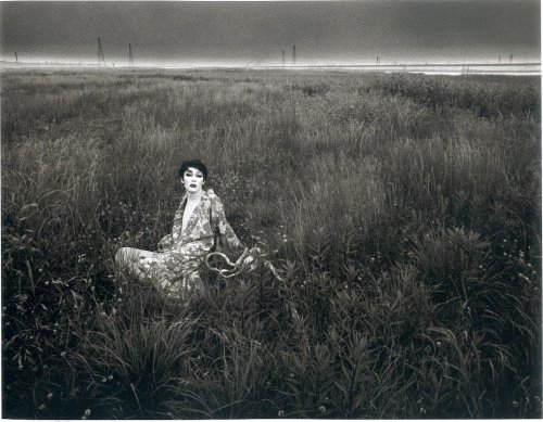 cabinetfaustus: eikoh hosoe