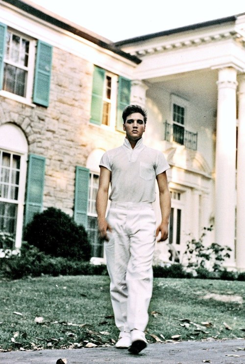 fontdivina:  Elvis Presley photographed at Graceland by Michael Ochs, c. 1957.