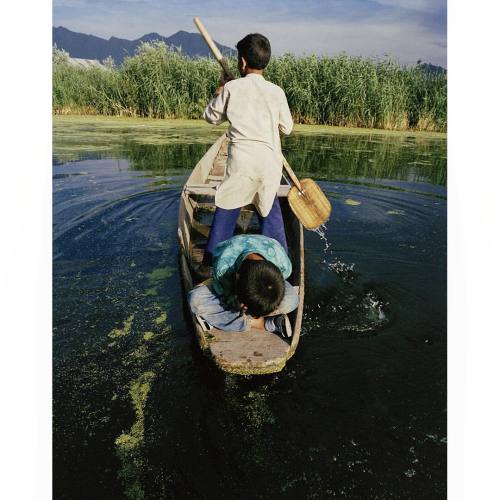 Two boys paddle their shikara on Dal Lake, Srinagar, Kashmir. Shikaras boats are commonly used to na