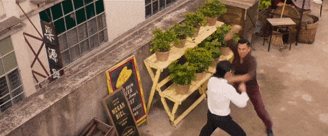Master Z - Ip Man Legacy (2019)